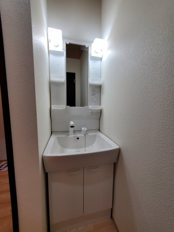 パークレストりんくう第2の独立洗面台