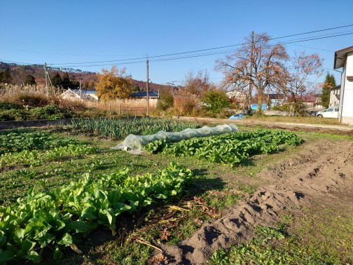 【外観】 | 米沢市舘山6丁目　土地