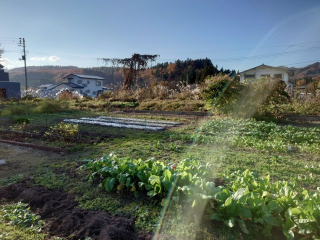 【外観】 | 米沢市舘山6丁目　土地