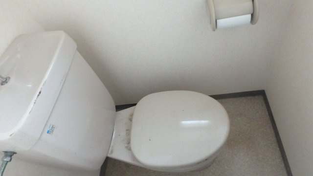 ライフタウンⅡのトイレ
