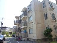 堺市西区鳳南町３丁のマンションの画像