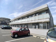 サンシャイン-39の画像