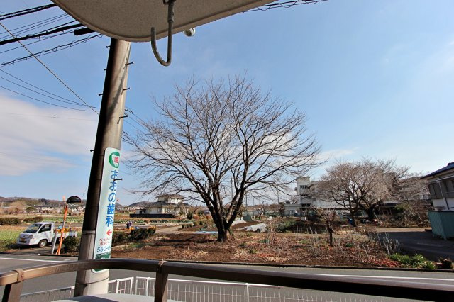 グランドール岡野Bの展望|道路越しに桜の木があります。