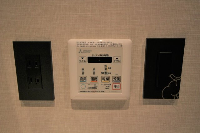 ブエナビスタのその他