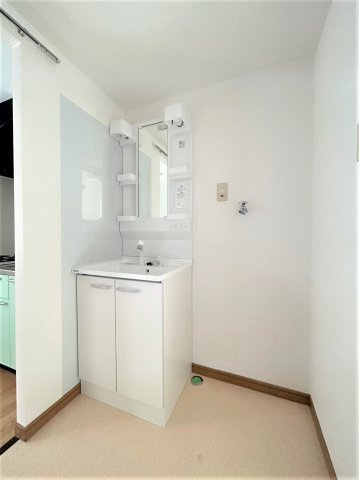 グリーンゲイブルズ名須川の独立洗面台