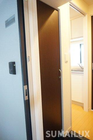 熊本市中央区保田窪２丁目の賃貸マンションの玄関