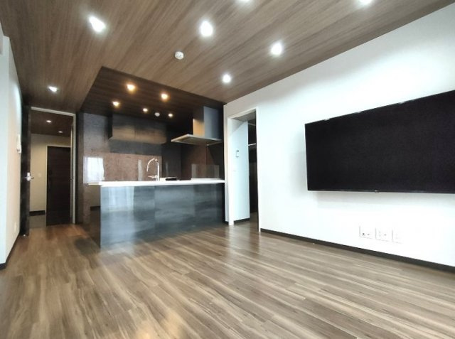 ヒルズレジデンシャルＤ20の居間・リビング