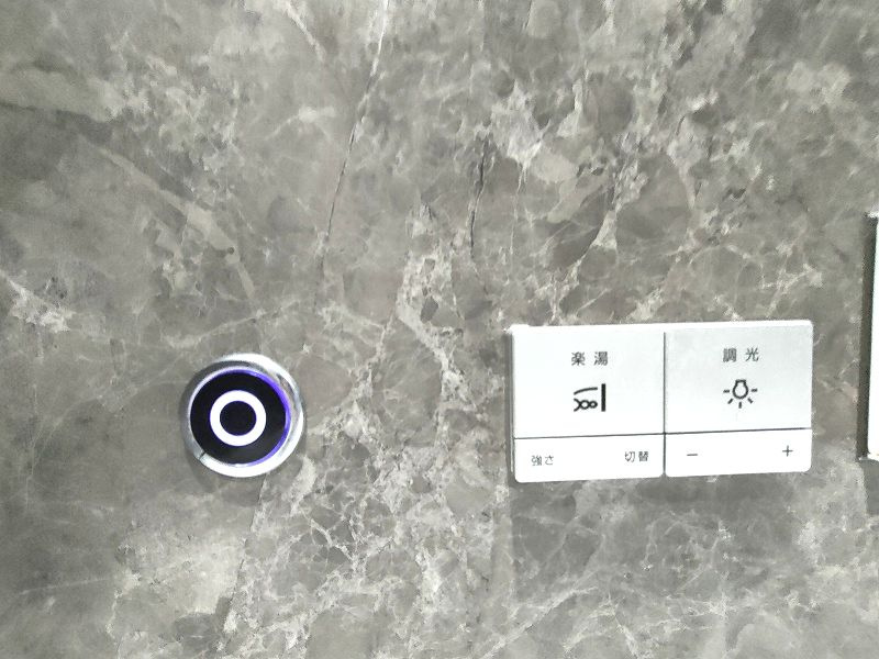 ヒルズレジデンシャルＤ20の浴室