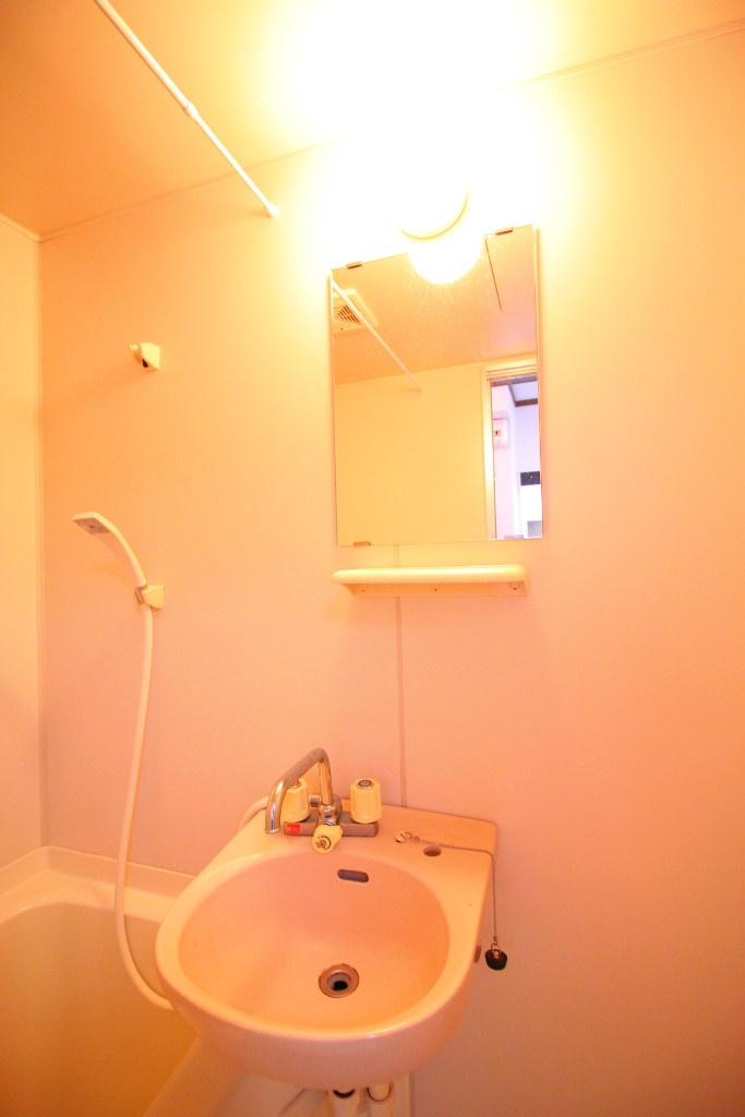 シーサイドハイツの洗面所