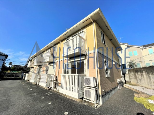 チェリーセージの外観