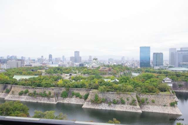 メゾンドヴィレ大阪城公園前　仲介手数料無料の展望