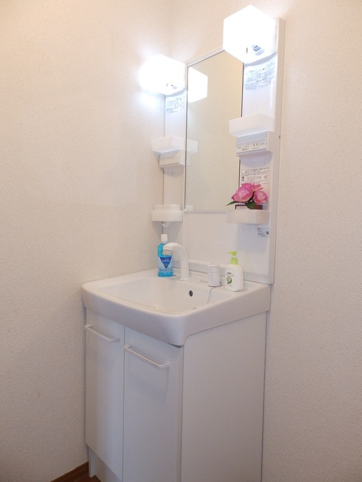 スカイスクレーパーA棟の洗面所