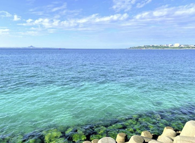 【展望】 | 本部海沿いの築浅一軒家