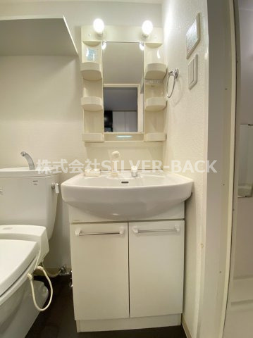 ラナップスクエア南堀江の洗面所