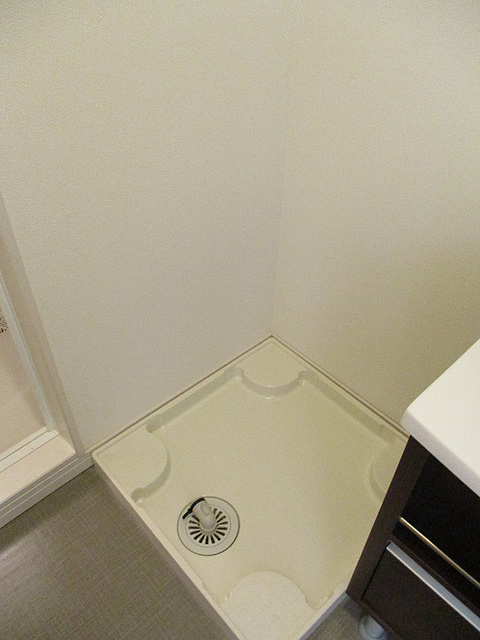 リブリ・ハナミズキのその他