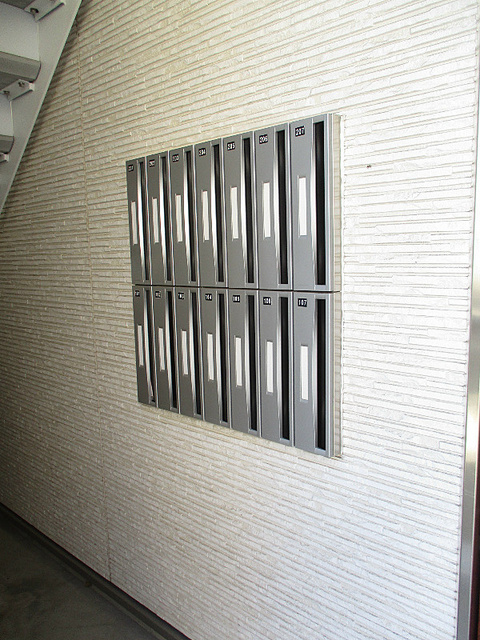 リブリ・ハナミズキのその他