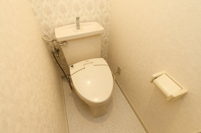 ヴィラ東城1のトイレ