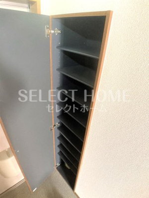  | アンプルールリーブルリベルテ