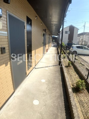  | アンプルールリーブルリベルテ