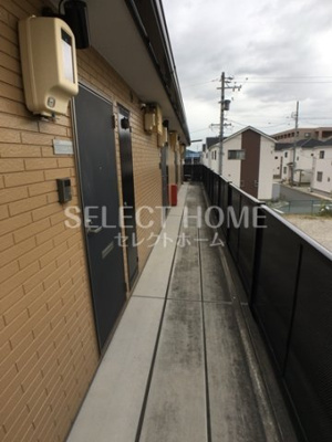  | アンプルールリーブルリベルテ