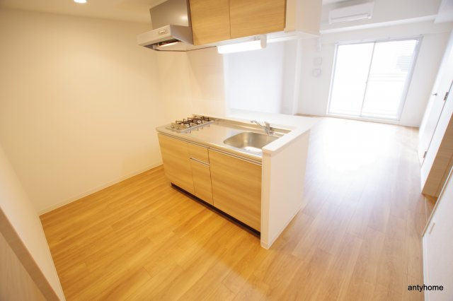 アプリーレ中之島　仲介手数料無料の内装