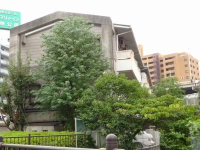 【外観】 | 第二福井マンション | 緑ある外観です
