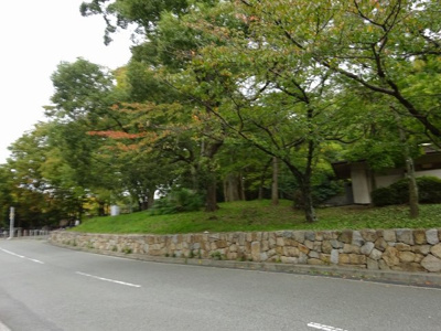 【周辺】 | 第二福井マンション | マンション前の緑地公園です