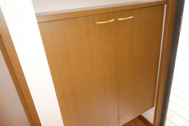 ロイヤルガーデンミルフィーＤの収納|シューズボックス