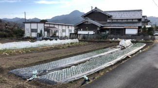 【その他】 | 畑