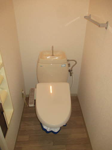 岸和田市尾生町５丁目のハイツのトイレ|清潔感のあるトイレです