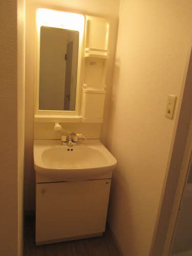 岸和田市尾生町５丁目のハイツの洗面所|広い洗面スペース