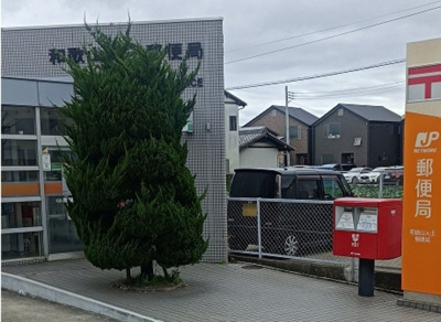 【周辺】 | コモド・アイ