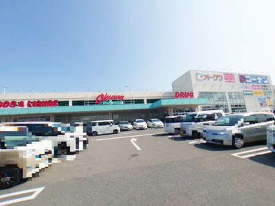 【周辺】 | コモド・アイ