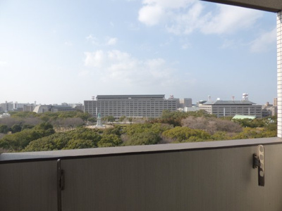 【展望】 | David Link東公園( デビットリンクヒガシコウエン) | 眺望
