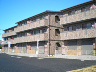 Ｆｅｒｍｅの画像