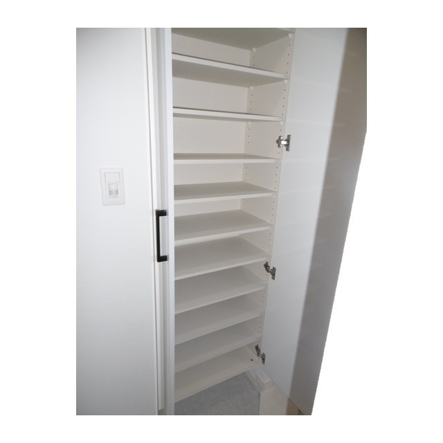 White Stone Ⅲ番館【10,000円キャッシュバック対象物件】の玄関|同型タイプです