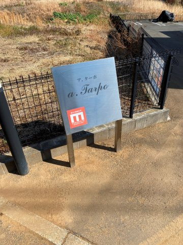 a.Tarpoの庭
