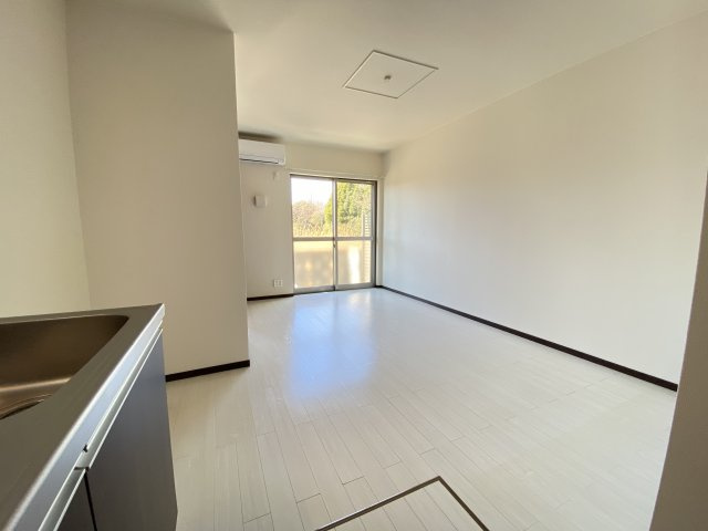 a.Tarpoの展望
