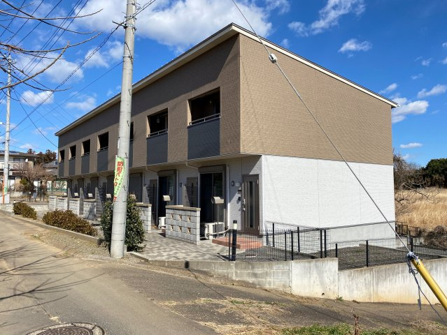 a.Tarpoの外観