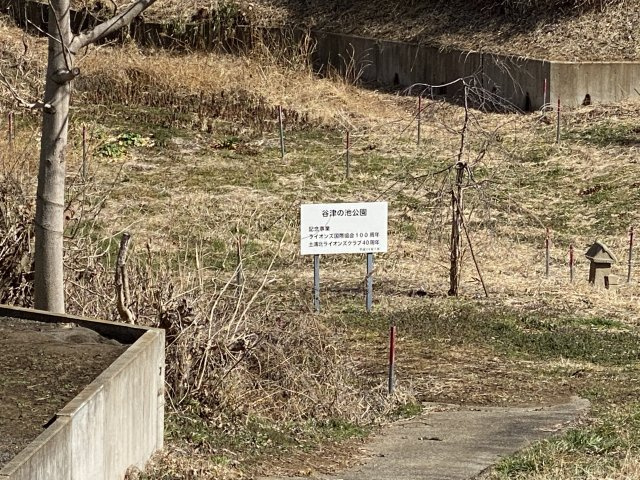 a.Tarpoの周辺