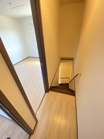 a.Tarpoのその他