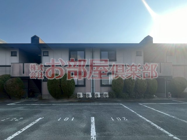 ハイカムール国分