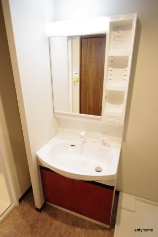 ブリリアントジュネス本町 仲介手数料無料の洗面所