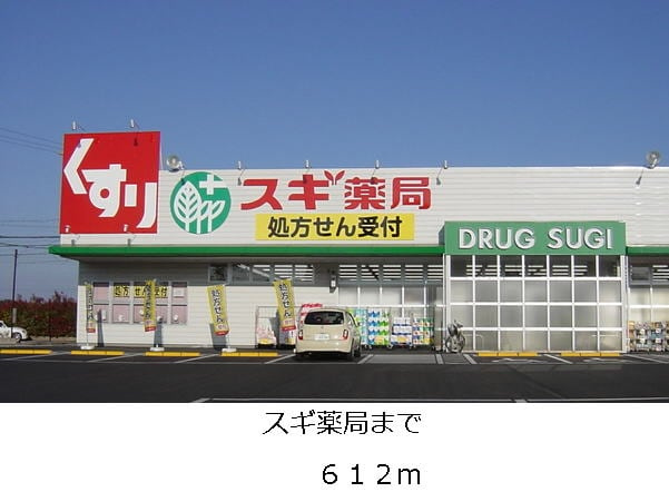 プラシードの展望