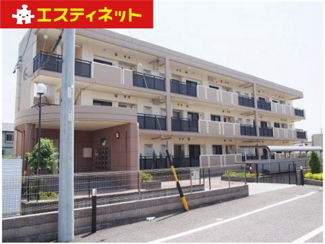 プラシード