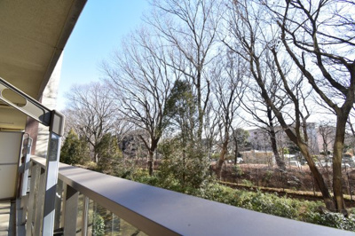 【展望】 | エルシオ玉川上水 | 緑あふれる玉川上水で、気持ちのいい朝を感じられます。