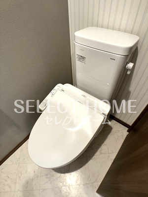  | ｇｅｌｕｋ（フルーク）