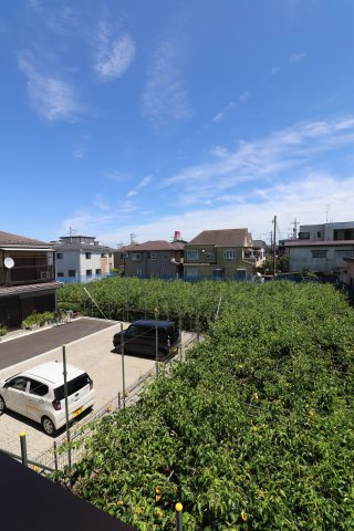 Birnbaumの展望