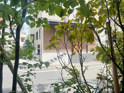 【展望】 | SOU三軒茶屋Ⅱ