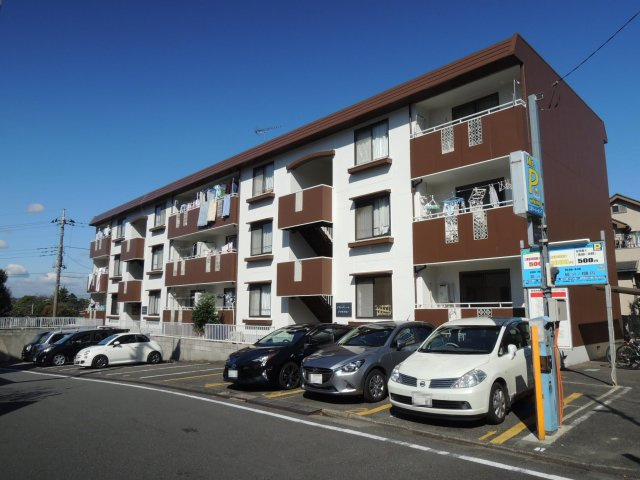 グランディールYAMANI